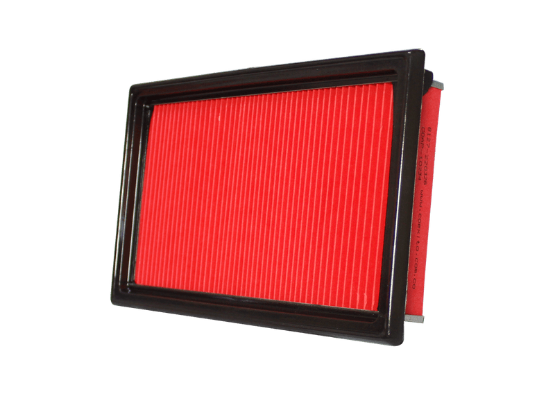 COAP-10234