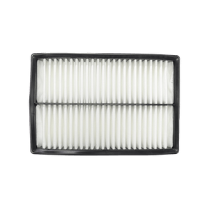 Filtro de aire Auto Coéxito COAP-3Z401