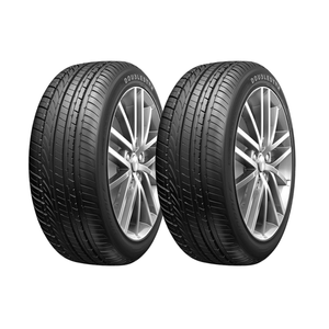 2 Llantas Auto 205/45ZR17 DU01 Doublestar + Energicombo