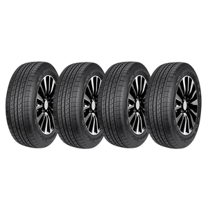 4 Llantas Auto 225/65R17 4PR DS01 Doublestar + Energicombo
