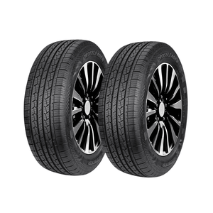 2 Llantas Auto 235/60R16 4PR DS01 Doublestar + Energicombo