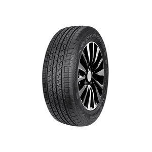 Llanta Auto 235/60R16 4PR DS01 Doublestar